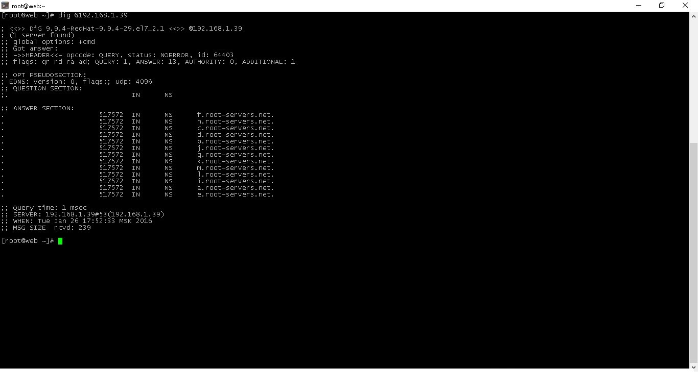 настройка bind dns